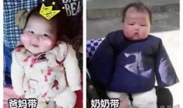 萍姥姥最新爆料新闻,最新爆料新闻背后的惊人真相